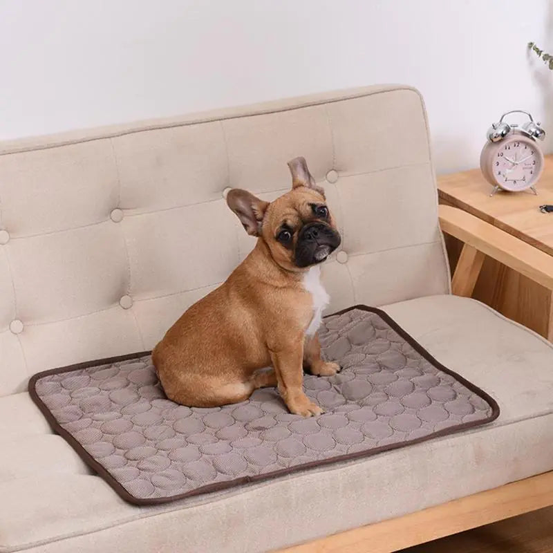 PetCooler- A cool pad for your pets!